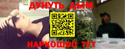 молекула духа Новозыбков