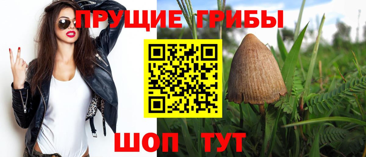 Галлюциногенные грибы MAGIC MUSHROOMS  магазин продажи наркотиков  Ступино  Вход с VPN 